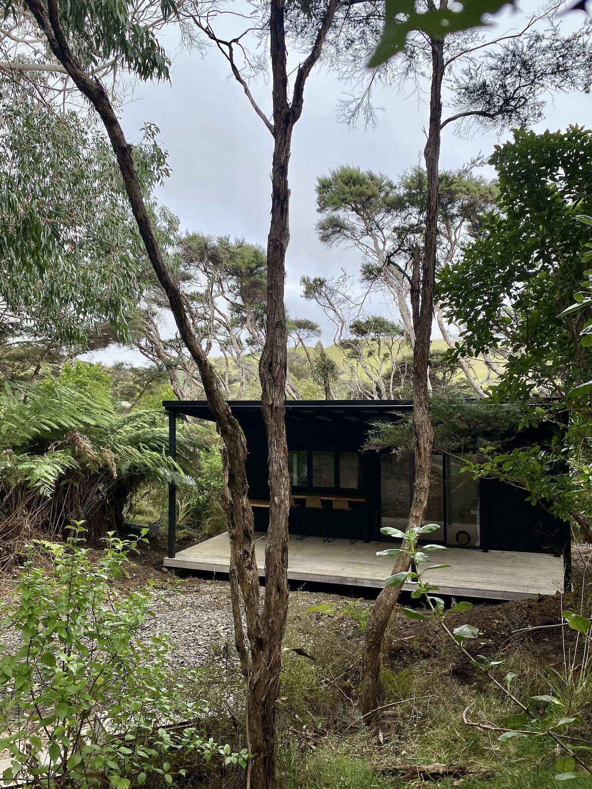 A charred-timber tiny home standing among native bush